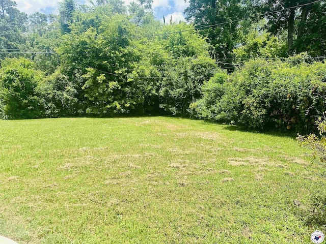 5 Arnold Dr, Texarkana, AR 71854 - view of green lawn