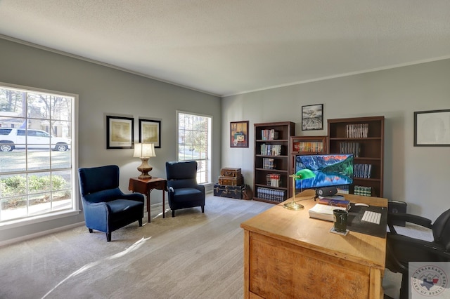 home office featuring light carpet, a healthy amount of sunlight, and a textured ceiling