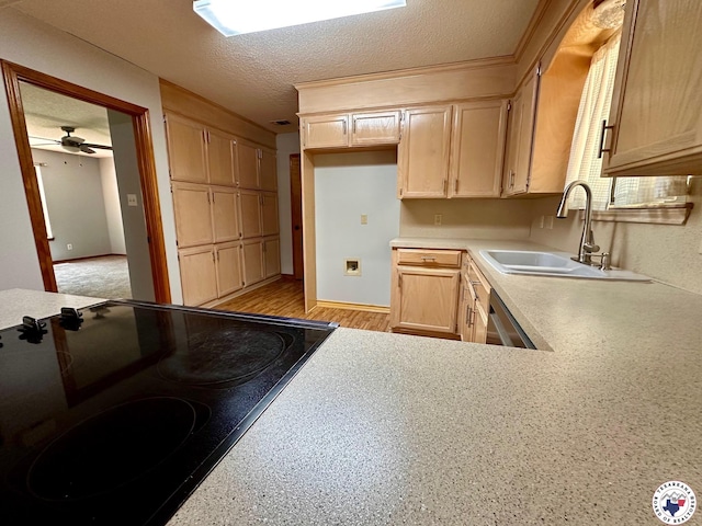 3119CLEARCREE Clear Crk, Texarkana, TX 75503 - kitchen featuring stove, a sink, light countertops, a textured ceiling, and light brown cabinets