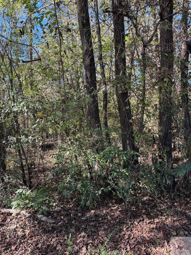 0 Woodberry, Texarkana, TX 75501 - photo 1
