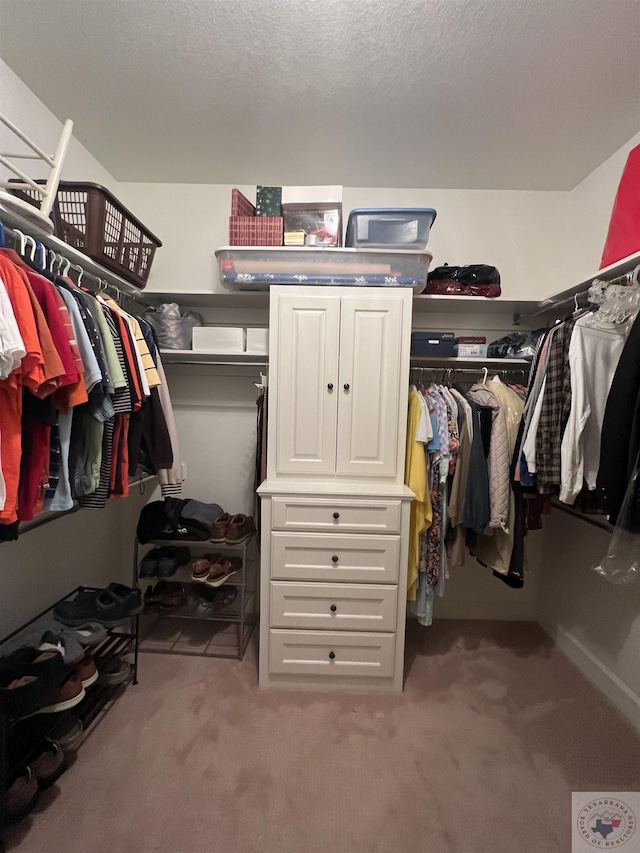 spacious closet featuring light colored carpet