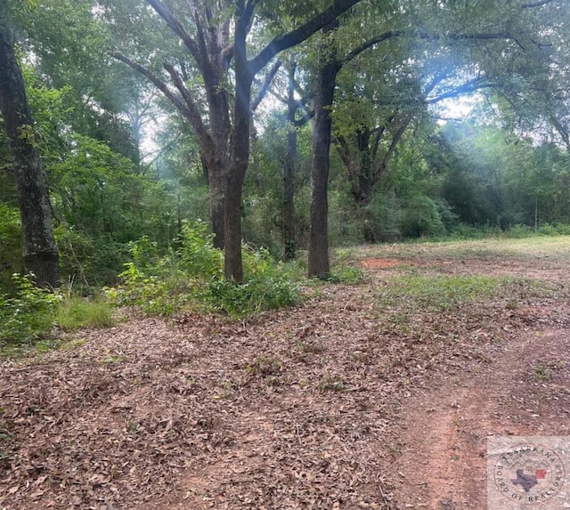 1.4ACRES Quail Creek Cir, Fouke AR, 71837 land for sale