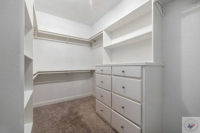 walk in closet with carpet floors