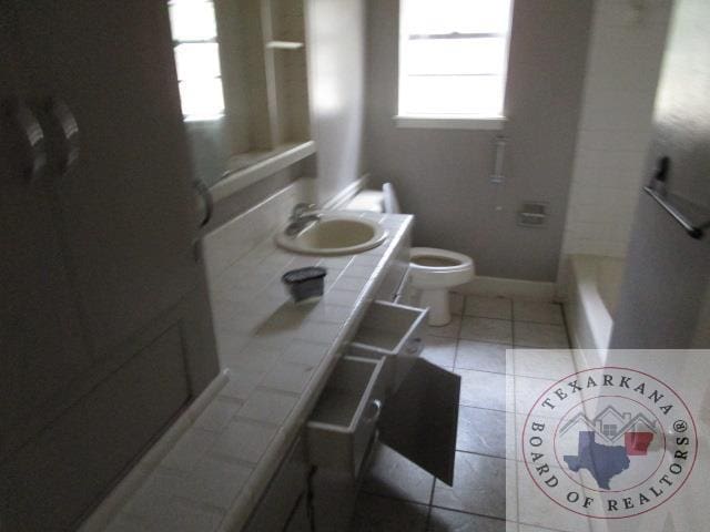 bathroom featuring toilet, a bath, and vanity