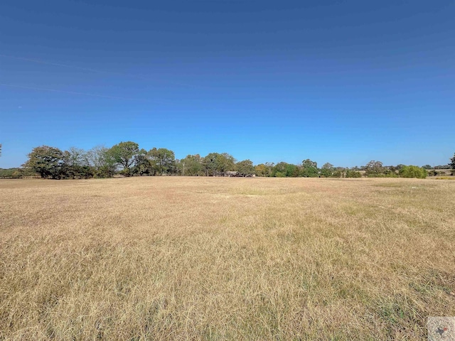 view of yard featuring a rural view