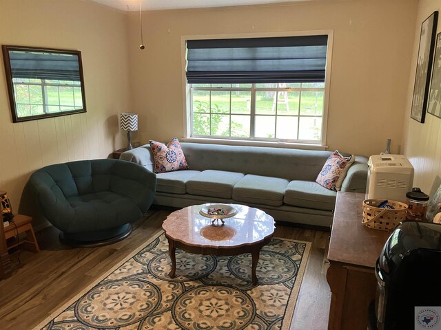 living room with dark wood-type flooring