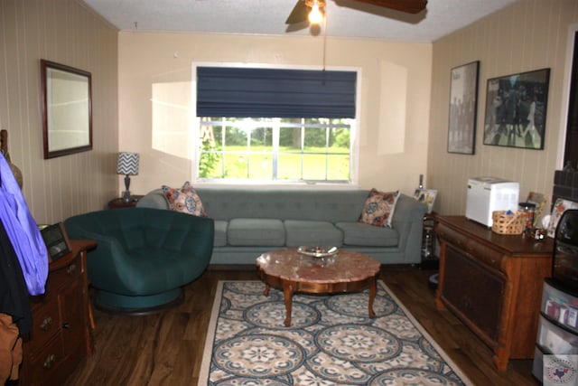 living room with ceiling fan and dark hardwood / wood-style floors