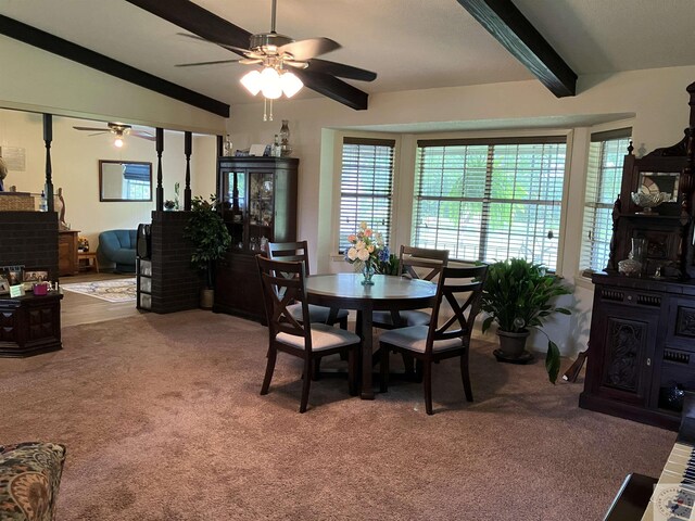 carpeted dining room with ceiling fan and lofted ceiling with beams