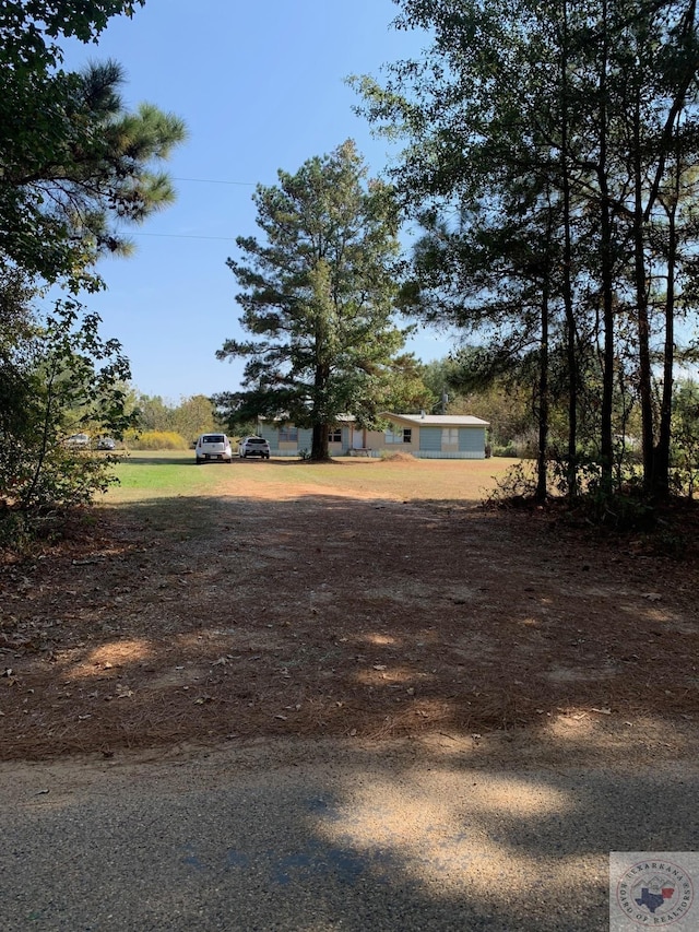 6379 Mc 10, Fouke, AR 71837 - view of yard