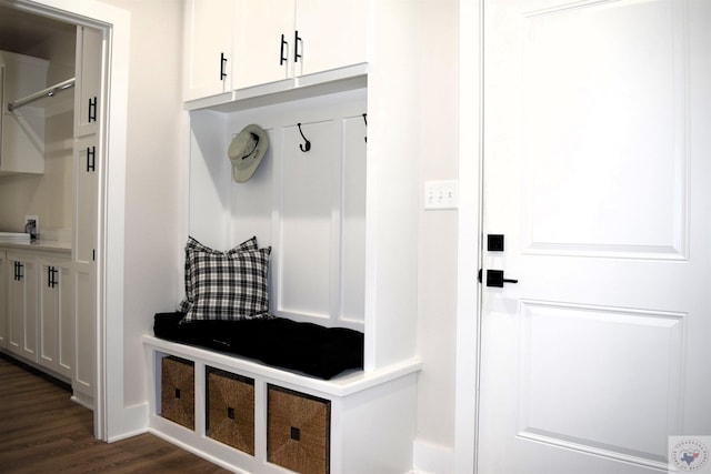 mudroom with dark hardwood / wood-style flooring