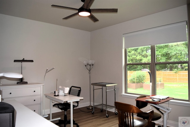 office with light wood-type flooring, ceiling fan, and plenty of natural light