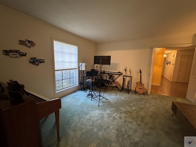 home office featuring carpet floors