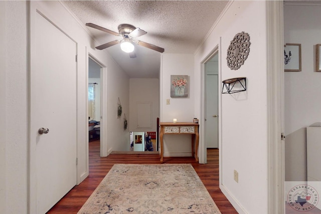 hall featuring dark wood-type flooring, ornamental molding, and a textured ceiling