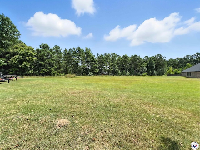 6705 Palisades, Texarkana, TX 75503 - photo 28