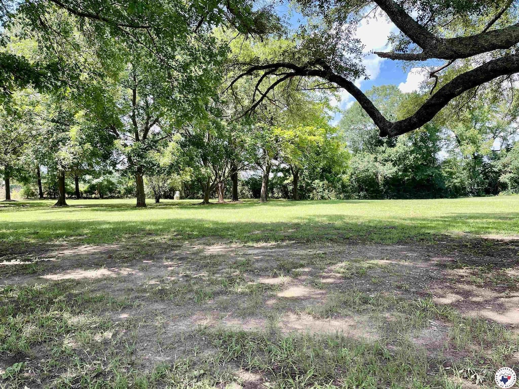 TBD Rainbow Dr, Atlanta, TX 75551 - photo 2