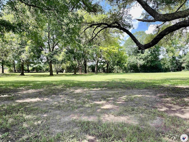 TBD Rainbow Dr, Atlanta, TX 75551 - photo 2