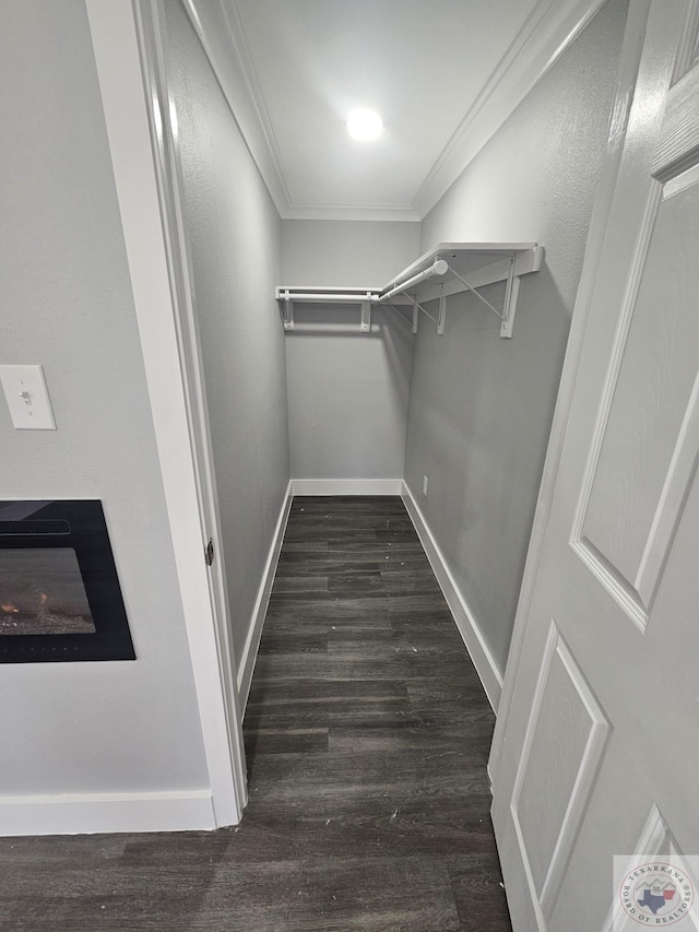 spacious closet with dark wood-type flooring