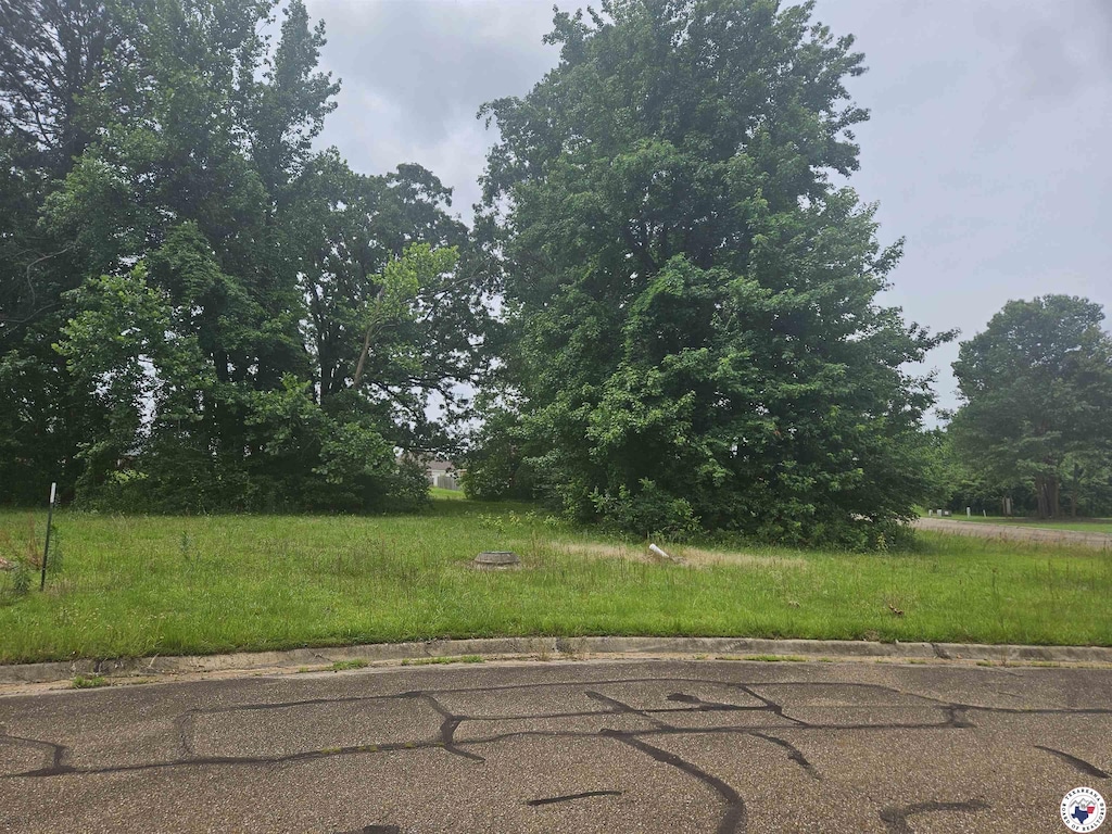 LOT1 Cooper Ln, Estates Iii, Texarkana, TX 75503 - photo 3