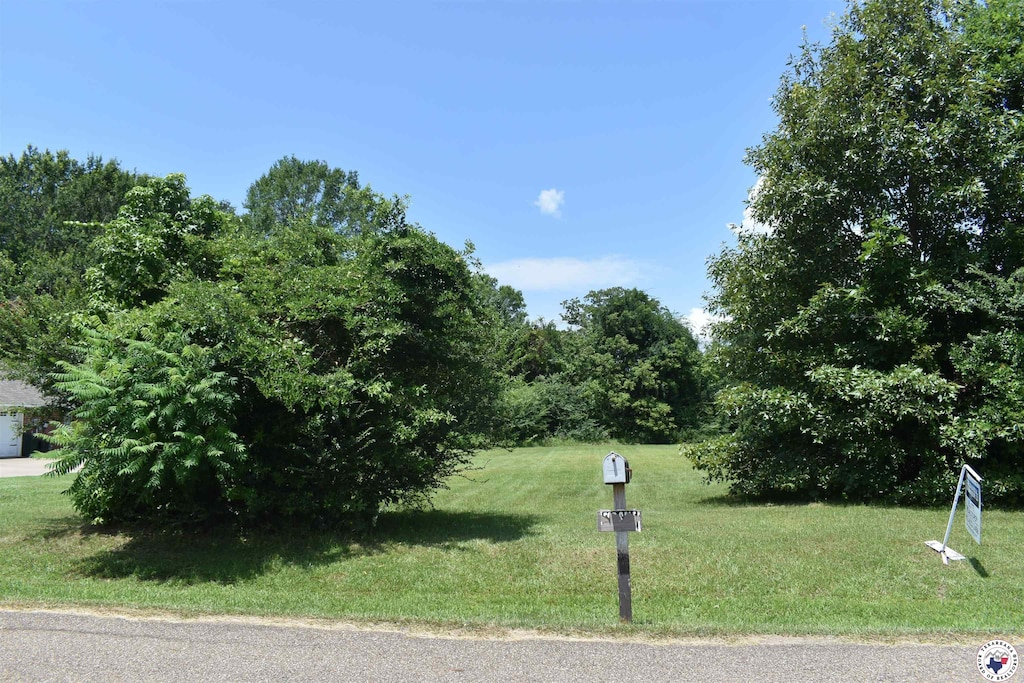 0 Randall Rd, Texarkana, TX 75501 - photo 2