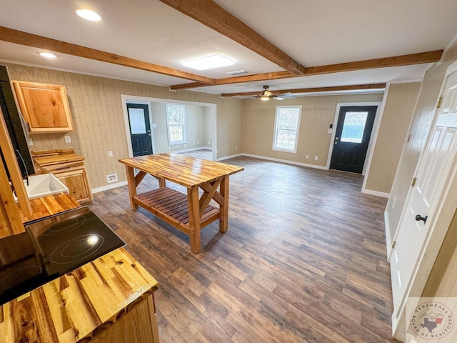 dining space with ceiling fan, beamed ceiling, and dark hardwood / wood-style flooring