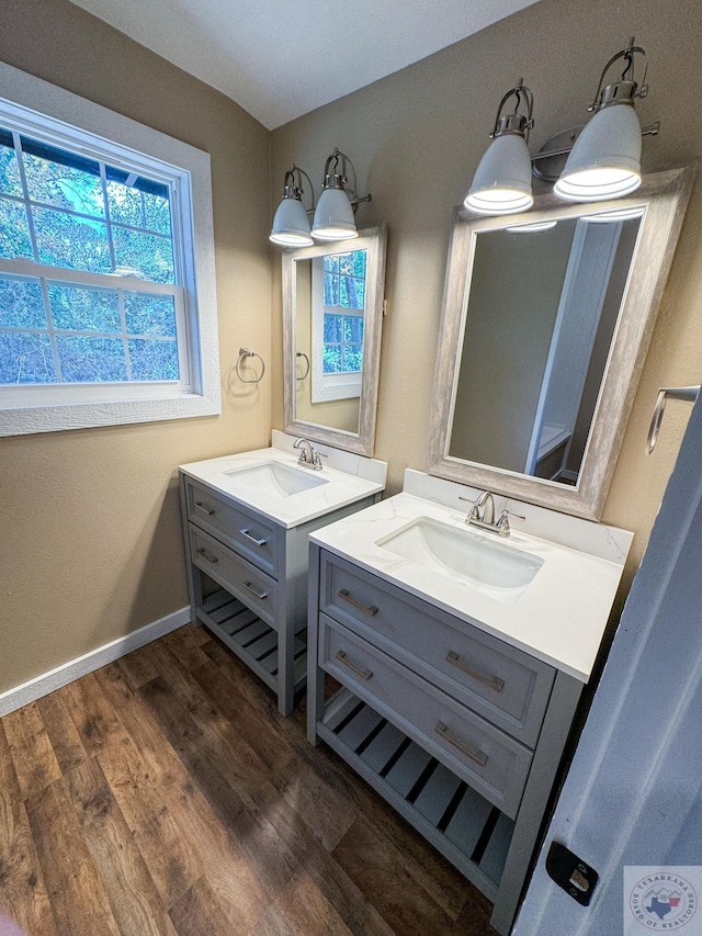 bathroom with hardwood / wood-style floors and vanity