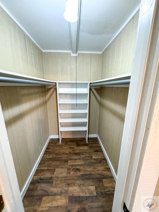 walk in closet with dark hardwood / wood-style flooring