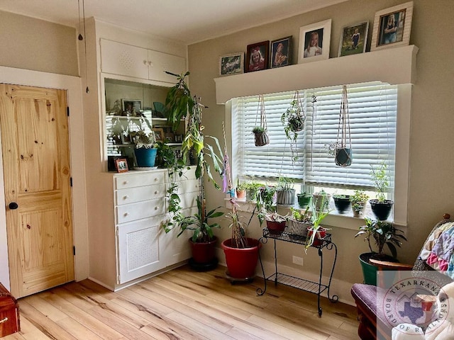 sitting room featuring light wood-type flooring