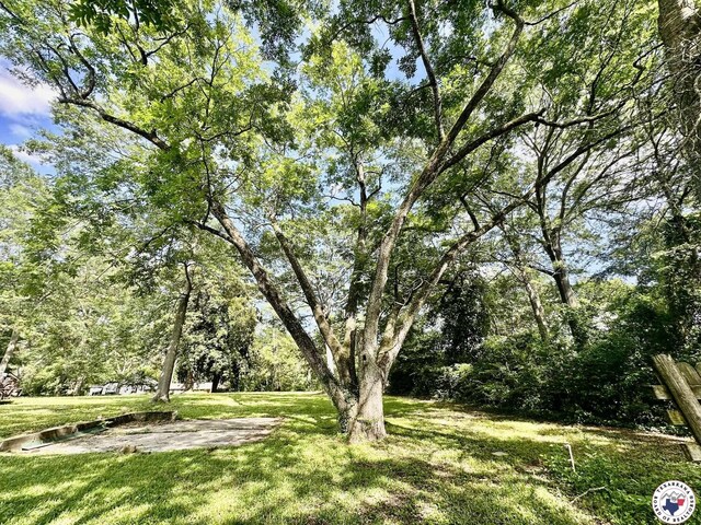 103 Wood St, Atlanta, TX 75551 - photo 30