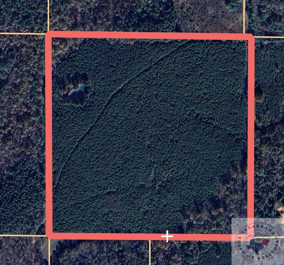 TBD Miller County 6, Doddridge, AR 71834 - photo 2
