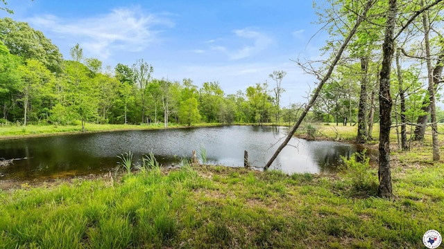 1208 Tri State Rd, Texarkana, TX 75501 - photo 26