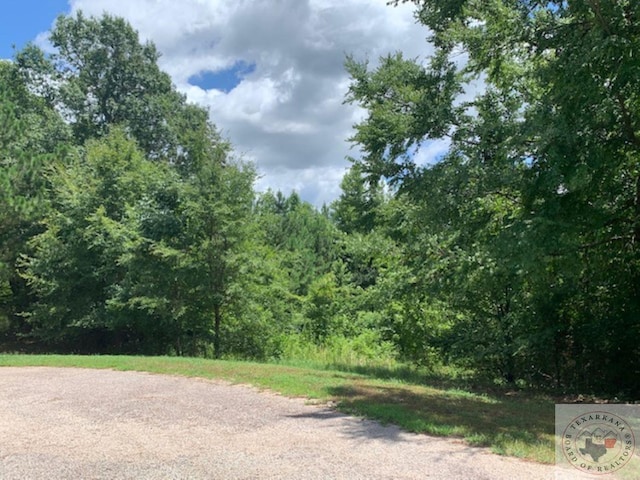 LOT14 Heather Hill Dr, Texarkana AR, 71854 land for sale