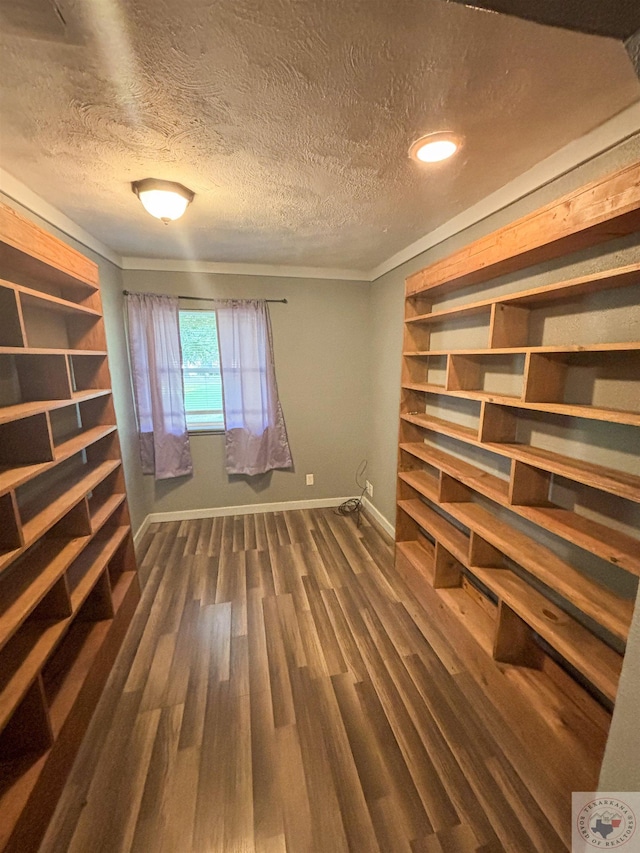 interior space featuring dark wood-type flooring and a textured ceiling