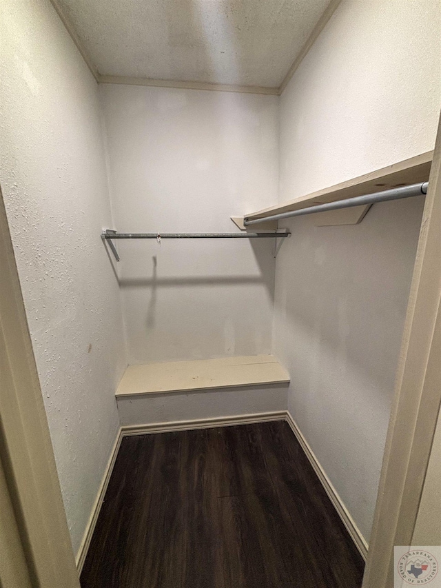 walk in closet featuring dark wood-type flooring