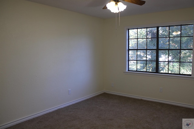 unfurnished room featuring ceiling fan, a wealth of natural light, and carpet flooring