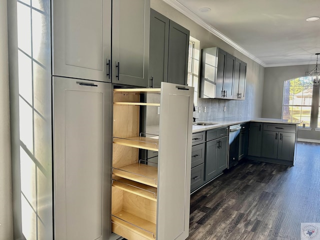 kitchen with sink, dark wood-type flooring, gray cabinetry, ornamental molding, and an inviting chandelier