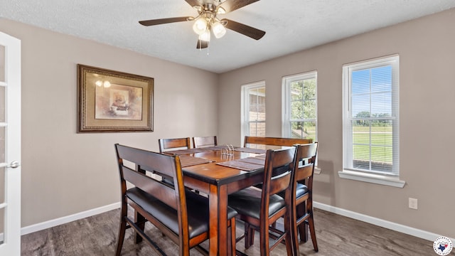 8809 N Kings Hwy, Texarkana, TX 75503 - dining room featuring wood finished floors, healthy amount of natural light, a textured ceiling, and ceiling fan