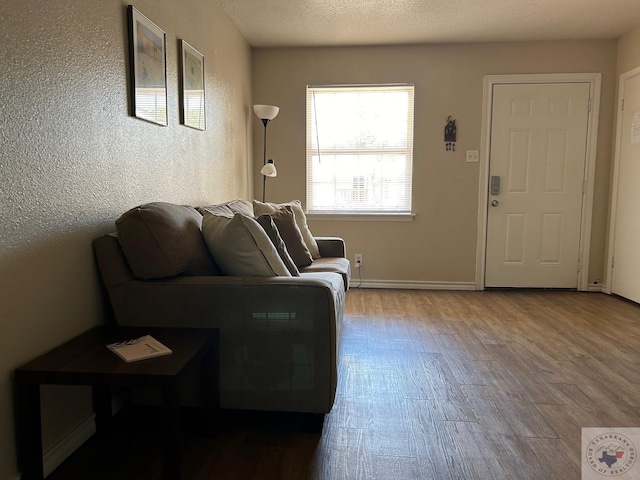 living room featuring hardwood / wood-style floors and a textured ceiling