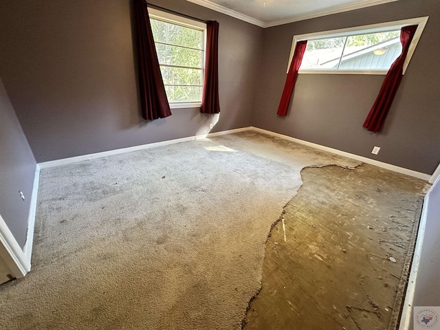 unfurnished room with crown molding and carpet