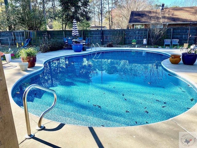 view of swimming pool with a patio area