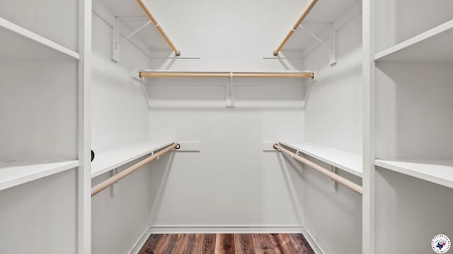spacious closet featuring dark wood-type flooring