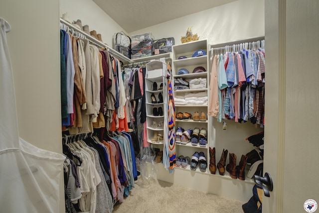 3428 Garrett Ln, Texarkana, TX 75503 - walk in closet with carpet floors
