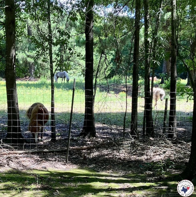 3428 Garrett Ln, Texarkana, TX 75503 - view of yard