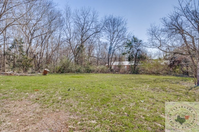 908 W Washington St, Clarksville, TX 75426 - view of yard