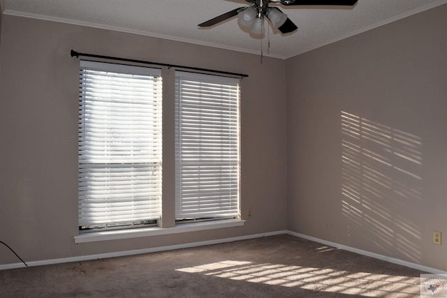 carpeted empty room with ceiling fan and ornamental molding