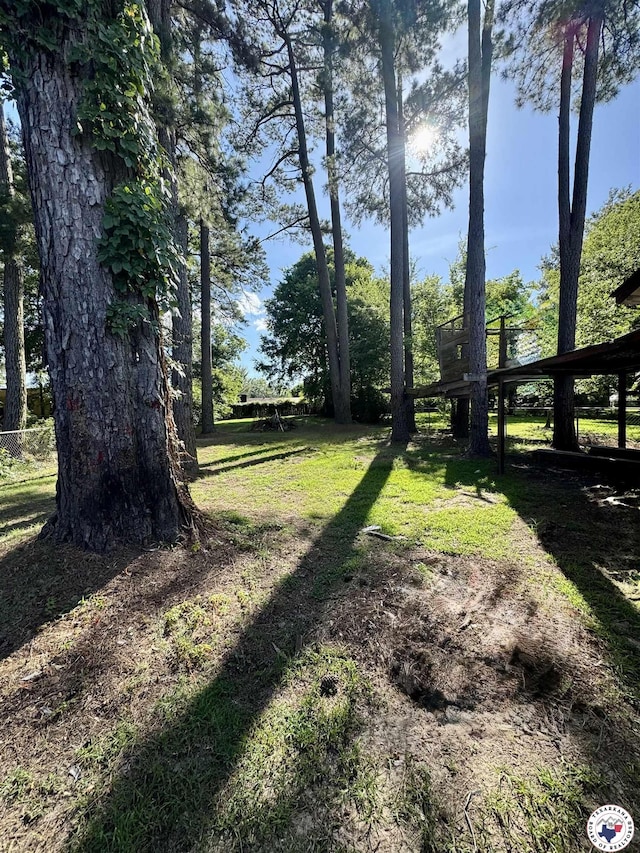 432 Carrol Ave, Wake Village, TX 75501 - view of grassy yard
