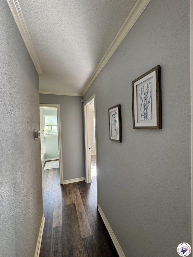 432 Carrol Ave, Wake Village, TX 75501 - corridor featuring dark wood-type flooring, ornamental molding, a textured ceiling, and a textured wall