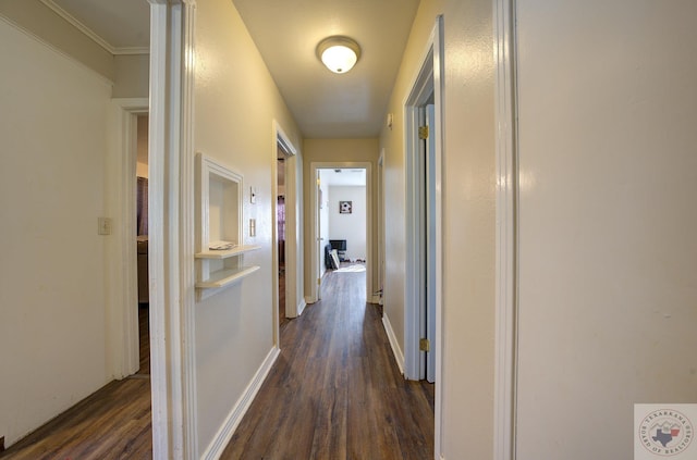 hallway featuring dark wood-type flooring and ornamental molding