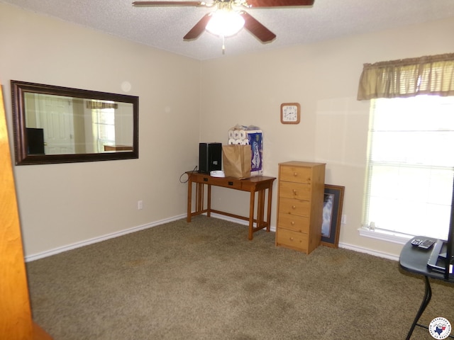 202 Trailwood Dr, Wake Village, TX 75501 - photo 14