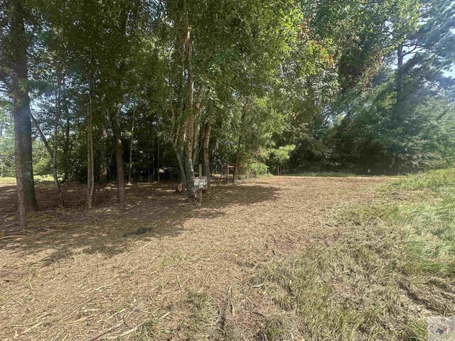 TBD Fm 248, Bivins, TX 75555 - photo 11