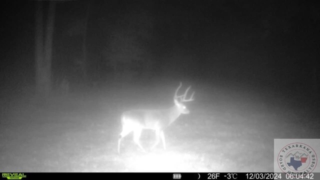 TBD Fm 248, Bivins, TX 75555 - photo 21